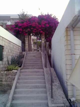 Апартаменты Apartmani Milosevic Херцег-Нови Апартаменты с видом на море-25